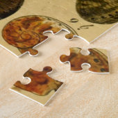 Puzzle Zoologique croquis Vintage Sea Shells Jigsaw Puzzl (Côté)
