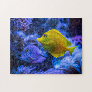 Puzzles aquatiques Photos marines Puzzle de poisso