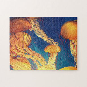 Puzzles aquatiques Photos marines Puzzle de poisso