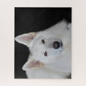 Puzzles Berger Blanc Allemand. (Vertical)