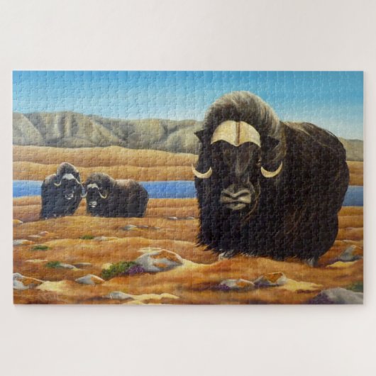 Puzzles canadiens d'art faunique - Muskox (Horizontal)