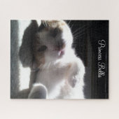 Puzzles Chat Kitten Bella (Horizontal)