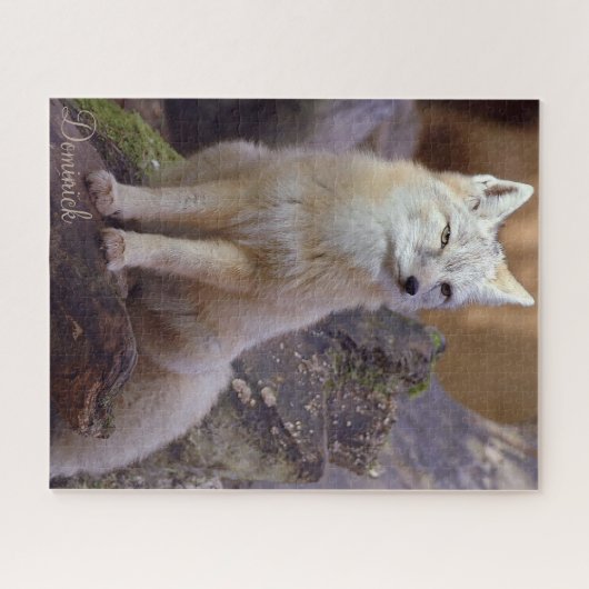 Puzzles Corsac Fox (Horizontal)