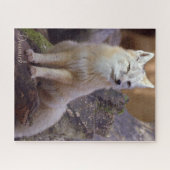 Puzzles Corsac Fox Legpuzzel (Horizontaal)
