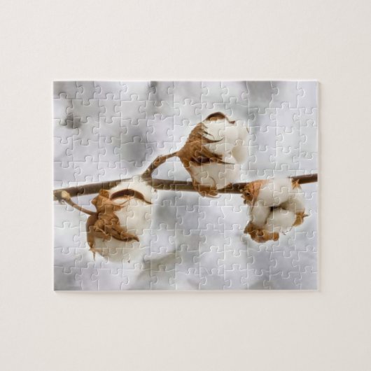 Puzzles coton blanc (Horizontal)