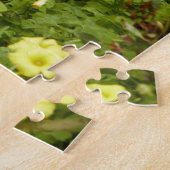 Puzzles Coyote (Côté)