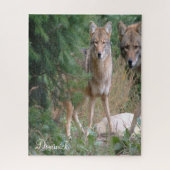 Puzzles Coyote (Vertical)