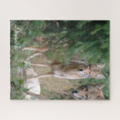 Puzzles Coyote (Horizontal)