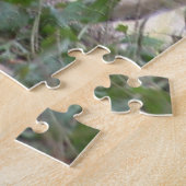 Puzzles Coyote (Côté)