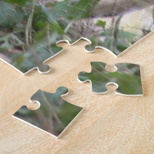 Puzzles Coyote (Côté)