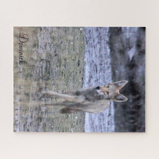Puzzles Coyote (Horizontal)