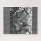 Puzzles Coyote (Horizontal)