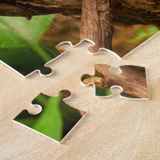 Puzzles d'animaux un animal puzzles Lizard Puzzles (Côté)