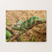 Puzzles d'animaux un animal puzzles Lizard Puzzles (Horizontal)