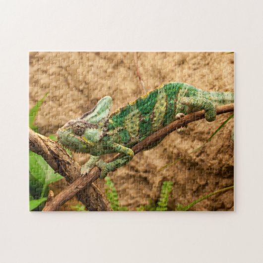 Puzzles d'animaux un animal puzzles Lizard Puzzles (Horizontal)
