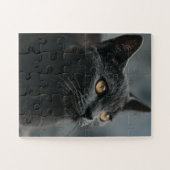 Puzzles de chat (Horizontal)