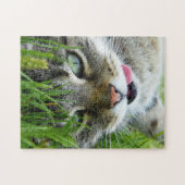Puzzles de chats mignons (Horizontal)