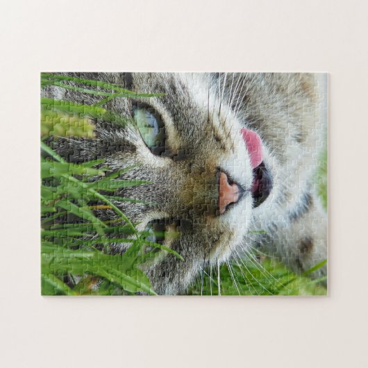 Puzzles de chats mignons (Horizontal)