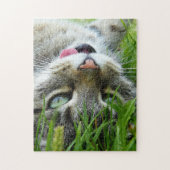 Puzzles de chats mignons (Vertical)
