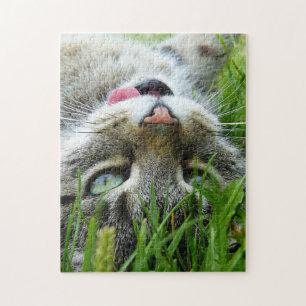 Puzzles de chats mignons