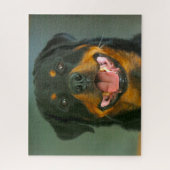Puzzles de chien Rottweiler. (Vertical)