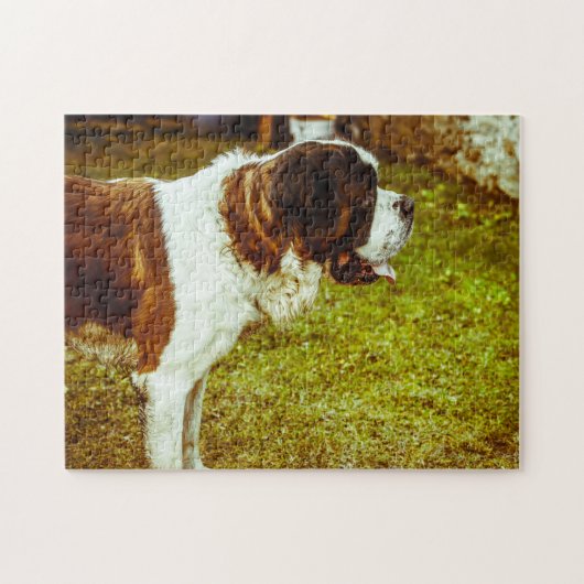 Puzzles de chien Saint-Bernard. (Horizontal)
