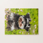 Puzzles de chien Schnauzer. (Horizontal)