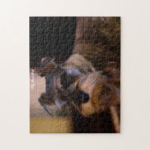 Puzzles de chien Schnauzer. (Vertical)