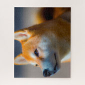 Puzzles de chien Shiba Inu. (Vertical)