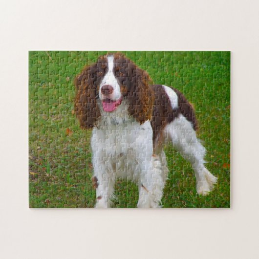 Puzzles de chien Springer Spaniel. (Horizontal)