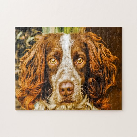 Puzzles de chien Springer Spaniel. (Horizontal)