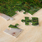 Puzzles de chien Springer Spaniel. (Côté)