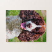 Puzzles de chien Springer Spaniel. (Horizontal)