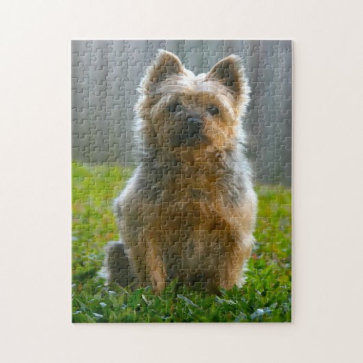 Puzzles de chien Terrier Australien. (Vertical)