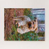 Puzzles de chien Terrier Irlandais. (Horizontal)
