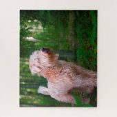 Puzzles de chien Terrier Irlandais. (Vertical)
