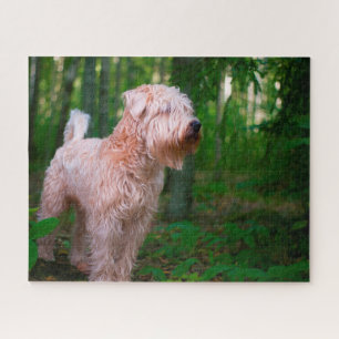 Puzzles de chien Terrier Irlandais.
