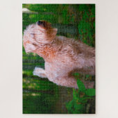 Puzzles de chien Terrier Irlandais. (Vertical)