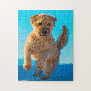 Puzzles de chien Terrier Irlandais.
