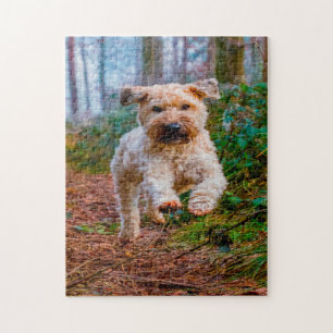 Puzzles de chien Terrier Irlandais.