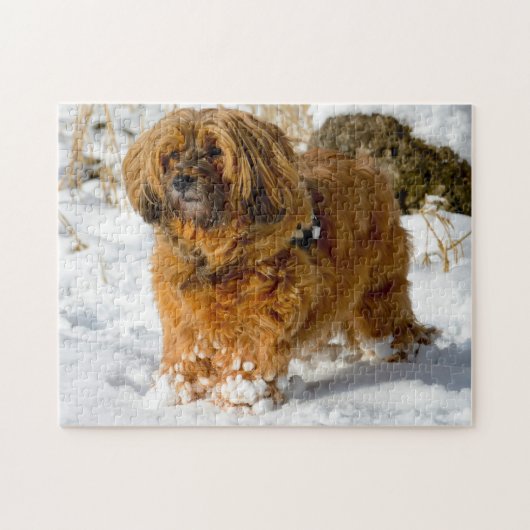 Puzzles de chien Terrier Tibétain. (Horizontal)
