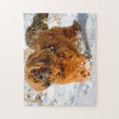 Puzzles de chien Terrier Tibétain. (Vertical)