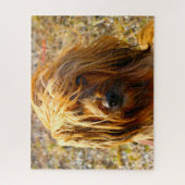 Puzzles de chien Terrier Tibétain. (Vertical)
