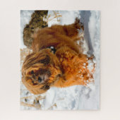 Puzzles de chien Terrier Tibétain. (Vertical)