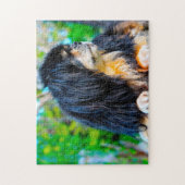 Puzzles de chiens Spaniel Tibétain. (Vertical)
