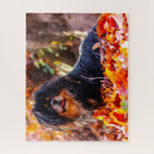 Puzzles de chiens Spaniel Tibétains. (Vertical)