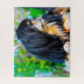 Puzzles de chiens Spaniel Tibétains. (Vertical)