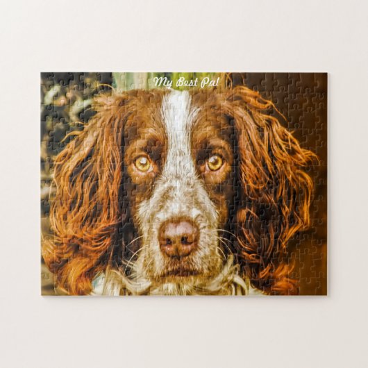 Puzzles de chiens Springer Spaniel. (Horizontal)