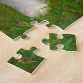 Puzzles de chiens Springer Spaniel. (Côté)