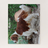 Puzzles de chiens Springer Spaniel gallois. (Vertical)